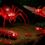 bugs1.jpg
