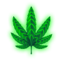 hopium.png