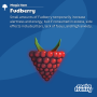 item15-fudberry.png