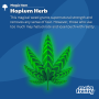 item16-hopium_herb.png