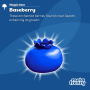item4-baseberry.png