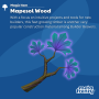 item6.1-mapesol_wood.png