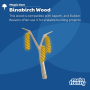 item6.2-binabirch_wood.png