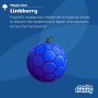 item6.6-linkberry.png