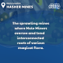 location_31_style1_hasher_mines_main.png