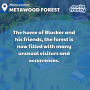 location_1_style1_metawood_forest_main.png